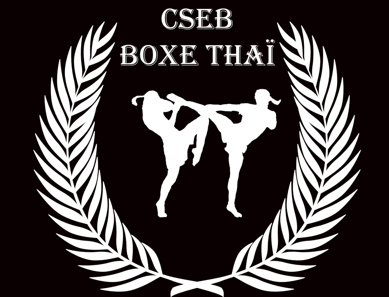 CSEB Boxe Thaï CSEB Boxe Thaï